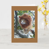 変装40歳の誕生日グループなし カード (黄色い花)