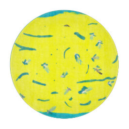 夏おもしろい板 カッティングボード