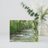 夏おもしろい... ポストカード (スタンド正面)