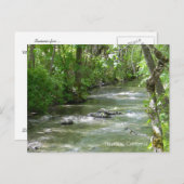 夏おもしろい... ポストカード (正面/裏面)