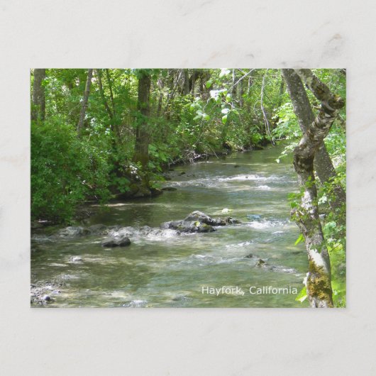 夏おもしろい... ポストカード (正面)