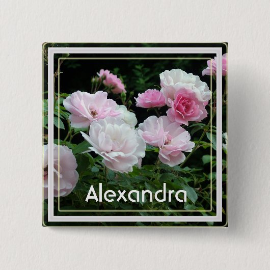 夏かわいらしピンクのバラ花名pin 缶バッジ (正面)