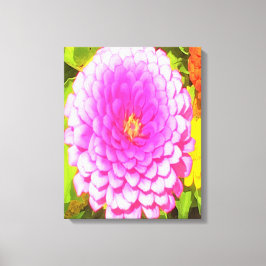 夏かわいらし園のピンクの丸《植物》百日草 キャンバスプリント