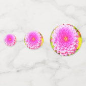 夏かわいらし園のピンクの丸《植物》百日草 コンフェッティ (正面)