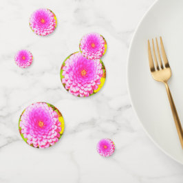 夏かわいらし園のピンクの丸《植物》百日草 コンフェッティ