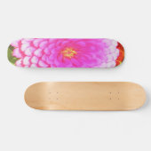 夏かわいらし園のピンクの丸《植物》百日草 スケートボード (横)