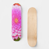 夏かわいらし園のピンクの丸《植物》百日草 スケートボード (正面)