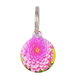 夏かわいらし園のピンクの丸《植物》百日草 ペット　ネームタグ