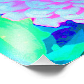 夏かわいらし園の紫とピンクの《植物》百日草 フォトプリント            (角)