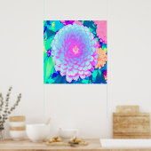 夏かわいらし園の紫とピンクの《植物》百日草 ポスター (キッチン)