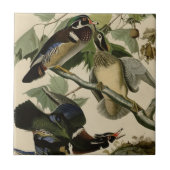 夏かアメリカオシ タイル (正面)