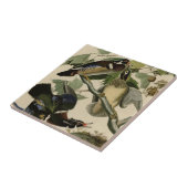 夏かアメリカオシ タイル (側面)