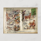 夏と冬の野生の葉書 ポストカード (正面)