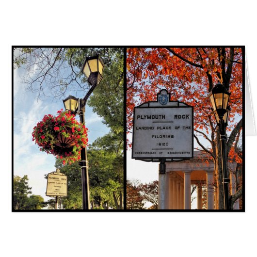 夏と秋 (正面横)