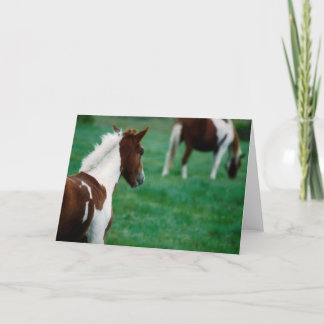 夏に牧草を食べる空白のなNotecard_Horses カード