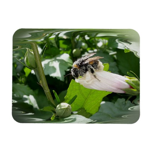 夏に蜂 マグネット (横)