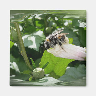 夏に蜂 マグネット