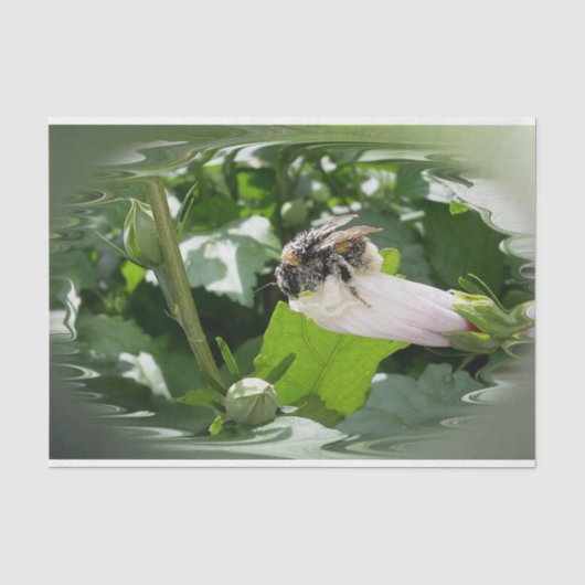 夏に蜂 薄葉紙 (正面)