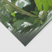 夏に蜂 薄葉紙 (詳細)
