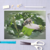 夏に蜂 薄葉紙 (クラフト)