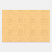 夏ねこ熱帯果実 ラッピングペーパーシート (正面3)