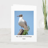 夏のあいさつ鳥のカード カード (裏面)