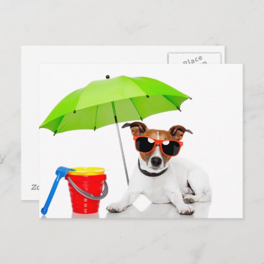 夏のおもしろい ポストカード (正面/裏面)