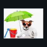 夏のおもしろい ポストカード<br><div class="desc">傘はがき付きかわいい犬</div>