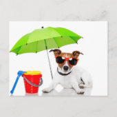 夏のおもしろい ポストカード (正面)