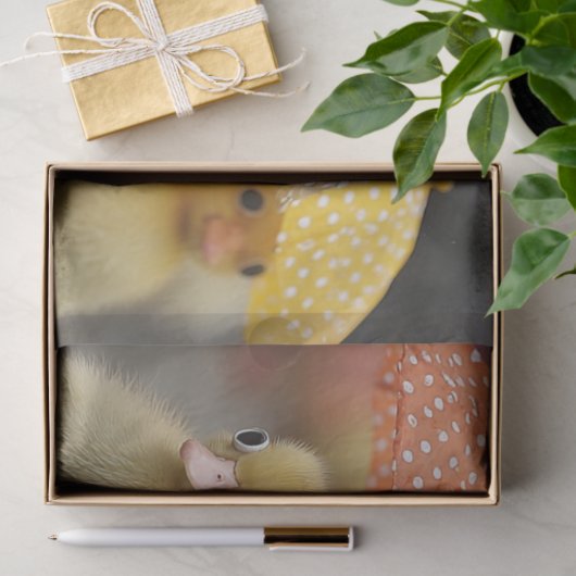 夏のお洒落アヒルを雨の中で 薄葉紙 (ギフト)