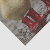 夏のお洒落アヒルを雨の中で 薄葉紙 (詳細)