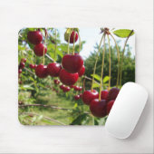 夏のさくらんぼ マウスパッド (マウス)