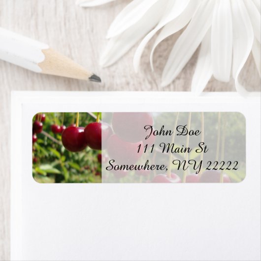 夏のさくらんぼ ラベル (インサイチュ)