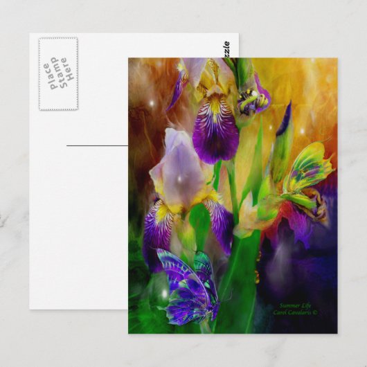 夏のはがき ポストカード (正面/裏面)