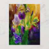 夏のはがき ポストカード (正面)