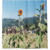 夏のひまわり….. シャワーカーテン (正面)