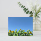夏のひまわり ポストカード (スタンド正面)