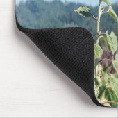 夏のひまわり…..... マウスパッド (コーナー)