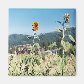 夏のひまわり…..... マグネット (正面)