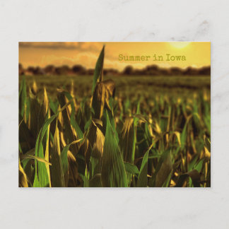 夏のアイオワ葉書 ポストカード