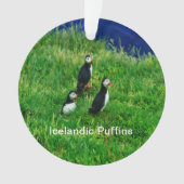 夏のアイスランドパフィン オーナメント (正面)