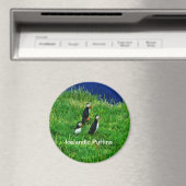 夏のアイスランドパフィン マグネット (インサイチュ (食洗機))