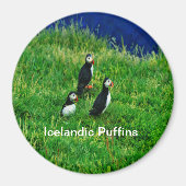 夏のアイスランドパフィン マグネット (正面)