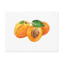 夏のアプリコットの水色