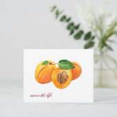 夏のアプリコットは生命の水色を味わう ポストカード (スタンド正面)