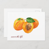 夏のアプリコットは生命の水色を味わう ポストカード (正面/裏面)