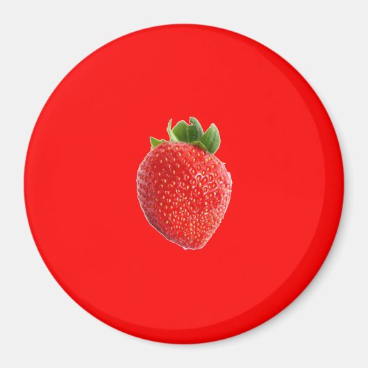 夏のイチゴ マグネット (正面)