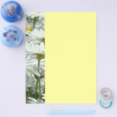 夏のイベントチラシのパーティーデイジー花フローラ チラシ (シングル)