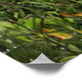 夏のウィスキータウン湖….. ポスター (角)