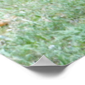 夏のカエル ポスター (角)